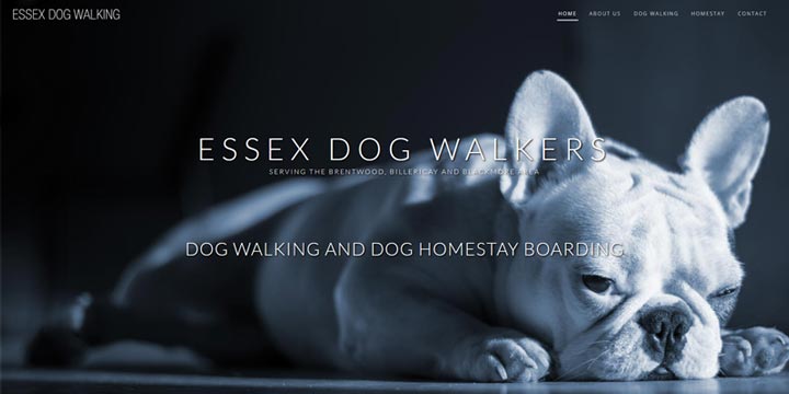 Essex Dog Walker